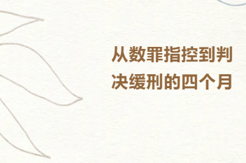 律闻 丨从数罪指控到判决缓刑的四个月